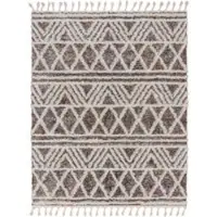 Tapis.fr Tapis à poils longs Mendoza multicolore 160x220 cm