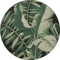 Tapis.fr Tapis d'intérieur & extérieur Ostenza noir 160 cm rond