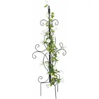 Relaxdays Support plantes grimpantes (45 cm, 45 cm)