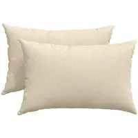 vidaXL Coussins de canapé 2 pcs Crème 60 x 40 cm tissu