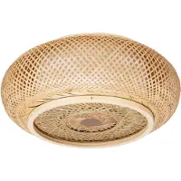 Toolight Plafond APP1253-3C