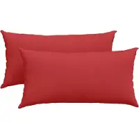 vidaXL Coussins de canapé 2 pcs Rouge 80 x 40 cm tissu