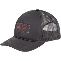 Adidas Casquette de sport 'Audi Formula One Team' anthracite