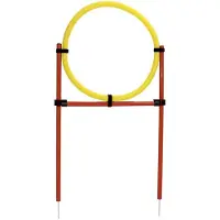 Kerbl Agility Game Set Multicolore
