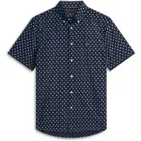 Tommy Hilfiger Chemise 'FLEX' bleu / blanc