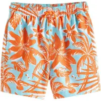 Next Shorts de bain bleu ciel / homard / blanc