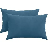 vidaXL Coussins de canapé 2 pcs Bleu 60 x 40 cm