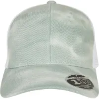 Flexfit Casquette '110' menthe / blanc