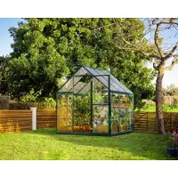 Palram - Canopia serre hybride 6 x 6 m vert