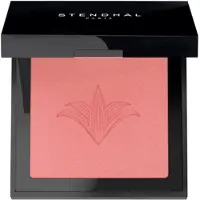Stendhal Blush Illuminateur 301 Rose Nevada 5.5g