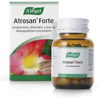 A.Vogel Vogel Atrosan Forte 60 Comp