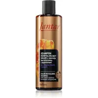 CARUNO Jantar colour revitalising shampooing with amber essence and pigment for blonde and grey hair 300ml