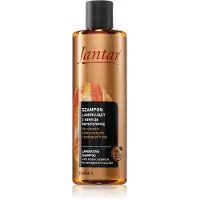 Farmona Jantar Laminating Shampoo (Shampoing liquide, 300 ml)