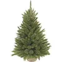 Triumph tree Arbre de Noël artificiel Forest frosted - 62x62x90 cm - Aiguille dure - Vert