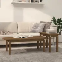 Prolenta Maison Exclusive - Ensemble de 2 tables basses, brun miel, bois massif de pin