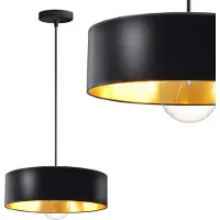 Toolight Lampe Suspendue APP1333-1CP Black