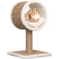 Syfax Arbre à chat et tunnel supérieur et jouet 56 cm Herbiers marins