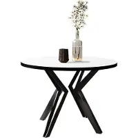 Mirjan 24 Table à manger ronde extensible HILLSBORO – noir / blanc arctique