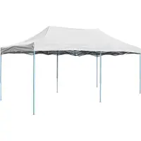 Prolenta Maison Exclusive - Tente de réception professionnelle pliable 3 x 6 m, acier blanc