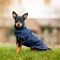 Horseware Signature Dog Rain Coat Manteau pour chien