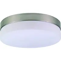 Globo Lighting Globo Opal plafonnier nickel mat, 2xE27 ILLU ; 48402