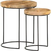 The Living Store Ensemble de 2 tables basses en bois massif de manguier et acier