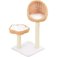 Syfax Arbre à chat avec griffoir en sisal Naturel Bois de saule
