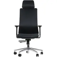 Stema Chaise de bureau ergonomique pivotante AKCENT/F, base chromée, accoudoirs réglables, assise coulissante (avant-arrière), noir