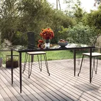 Prolenta Maison Exclusive - Table de jardin 160 x 80 x 74 cm, acier et verre trempé