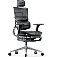 Diablo V-Master Office Ergonomic Chair Executive Chair Footrest 3D Armrest Lumbar Support Adjustable Headrest and Seat Mesh Black