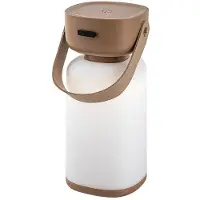 Rabalux lampe décorative extérieure IP44 3W brun Funes