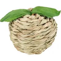 Trixie Pomme d'herbe avec enveloppe de maïs, 7cm