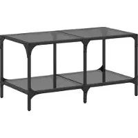 vidaXL Table basse avec plateau en verre noir 78,5x40x40 cm acier