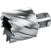 RUKO Foret à carotte Terrax en acier rapide (HSS) avec tige Weldon, Ø 12 mm - 32 mm, profondeur de coupe 30 mm, diamètre : 20 mm