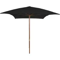 Prolenta Maison Exclusive - Parasol à mât en bois 200 x 300 cm, noir