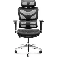 Diablo V-Commander Office Ergonomic Chair Executive Chair 3D Armrest Lumbar Support Adjustable Headrest and Seat Mesh Black