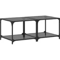 vidaXL Tables basses avec plateau en verre 2 pcs. noir 50x50x40 cm acier