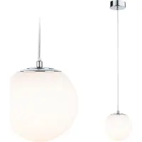 Paulmann Selection Bathroom LED Suspension Gove