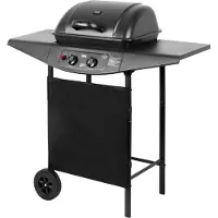 Teesa TSA0080 BBQ à gaz 2000 avec 2 brûleurs