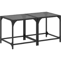 vidaXL Tables basses avec plateau en verre 2 pcs. noir 40x40x40 cm acier