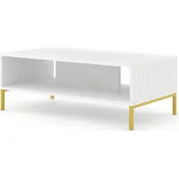 Homlando Table basse WAVE 90x60 cm BLANC MATT Table avec façades fraisées en MDF Table basse d'appoint Table de salon BEINE GOLDEN