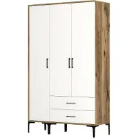 Dmora Phyan - Armoire 3 Portes, 120x48 cm Noyer Brun, Porte-manteaux