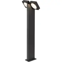 Rabalux Anthracite Luminaire de jardin à LED Telde 14W IP54 75cm 77102