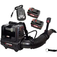 Parkside PERFORMANCE Souffleur de feuilles à batterie 40 V PPRLBA 40-Li / avec 2 batteries (4 Ah) et chargeur (4,5 A)