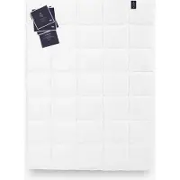Sonstige Verlage Couette en duvet d'oie 100% 155x200 QUEEN 490g Exklusiv Warm