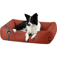 BedDog lit pour chien ZARA coussin pour chien avec housse lavable panier pour chien canapé pour chien,HAZELNUT (brique),(L) ca. 80x65x18cm