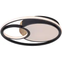 Rabalux Noir Plafonnier LED Leola 480mm 81W CCT avec DO 71044