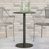 Prolenta Maison Exclusive - Table de jardin ronde noire Ø50x72 cm en acier