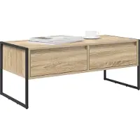 Syfax Table basse Sonoma 100 x 46 x 40 cm Bois d'ingénierie