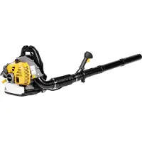 Inny producent Cedrus Dm04 Petrol Garden Leaf Blower -